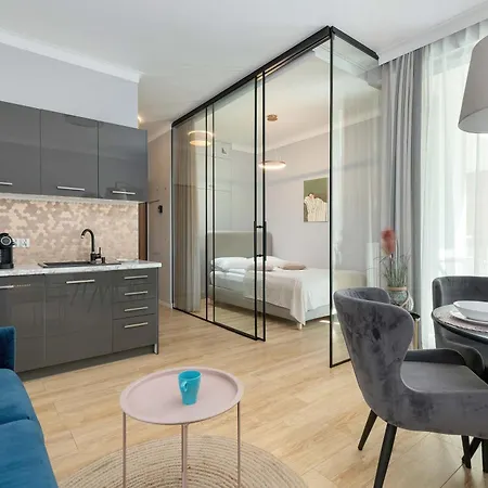 شقة Elegant In Center With Parking And Access To Viewing Terrace By Renters غدانسك